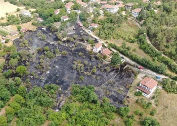 Anız yangını evlere sıçramadan söndürüldü