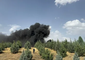 Malatya’da korkutan konteyner yangını