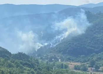 Kastamonu’da bir orman yangını daha çıktı