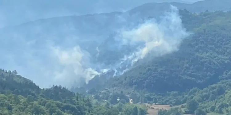 Kastamonu’da bir orman yangını daha çıktı