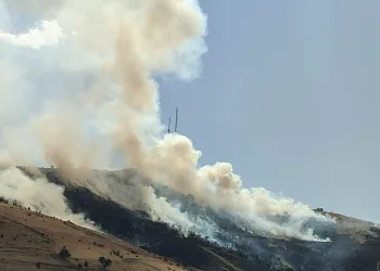 Muş’ta çıkan örtü yangını kontrol altına alındı