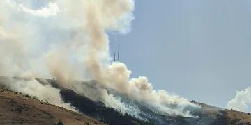Muş’ta çıkan örtü yangını kontrol altına alındı