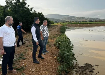 Başkan Özel, köylerde incelemede bulundu