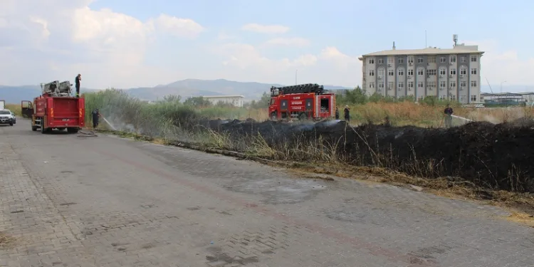 Sazlık alanda çıkan yangın itfaiyenin müdahalesiyle söndürüldü