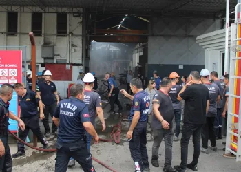 Aydın’da fabrika yangını
