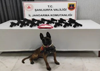 Şanlıurfa’da 18 tabanca ele geçirildi: 2 gözaltı
