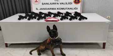 Şanlıurfa’da 18 tabanca ele geçirildi: 2 gözaltı