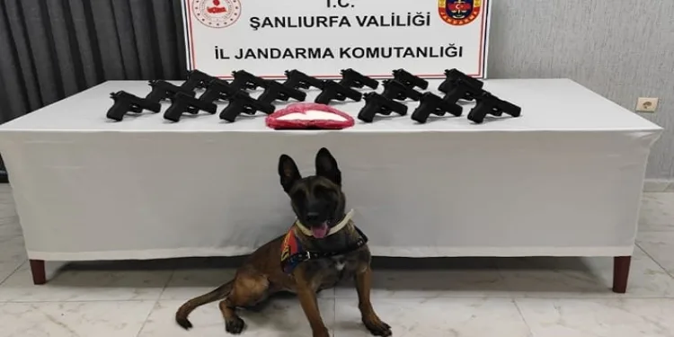 Şanlıurfa’da 18 tabanca ele geçirildi: 2 gözaltı