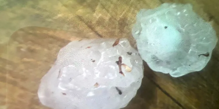 Osmancık’a ceviz büyüklüğünde dolu yağdı