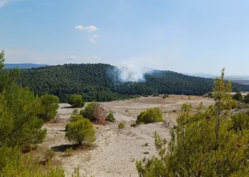 Bigadiç’te orman yangını