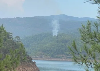 Marmaris’te yıldırım yangını