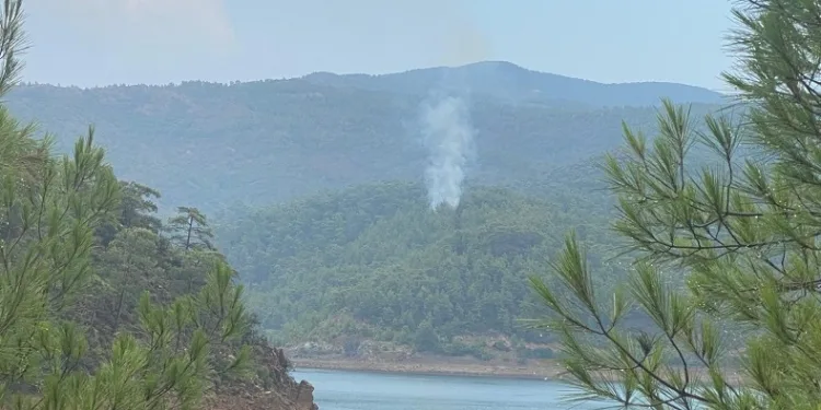 Marmaris’te yıldırım yangını