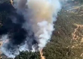 İzmir Ödemiş’te çıkan orman yangını kontrol altına alındı