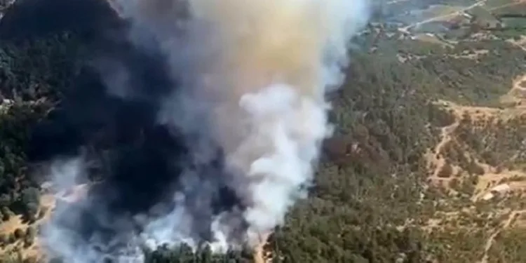 İzmir Ödemiş’te çıkan orman yangını kontrol altına alındı
