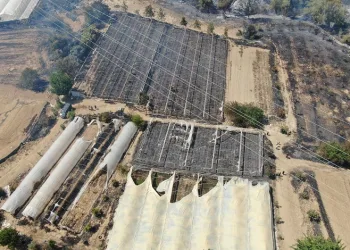 Antalya’da çıkan orman yangınında seralar büyük zarar gördü
