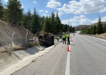 Hafif ticari araç, direğe çarpıp devrildi