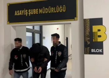 Yakın arkadaşını öldüren sanık