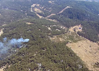 Muğla’da bir günde 11 yıldırım yangını