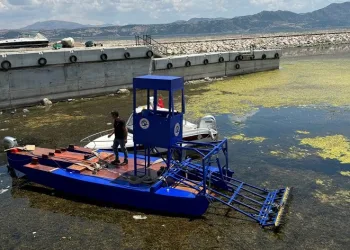 Eğirdir Gölü yüzeyindeki yosunlar temizlenecek