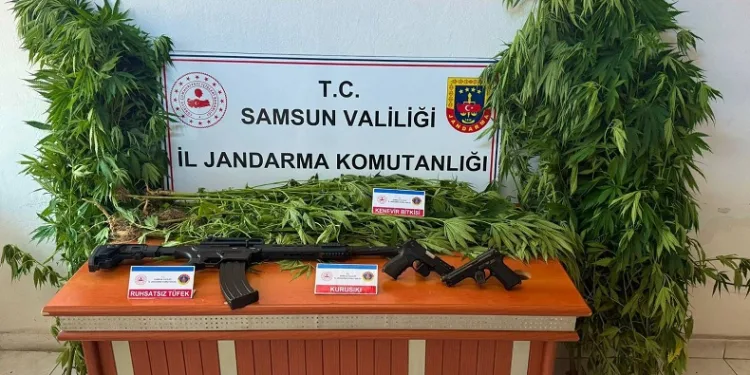 Jandarmadan uyuşturucu operasyonu: 3 gözaltı