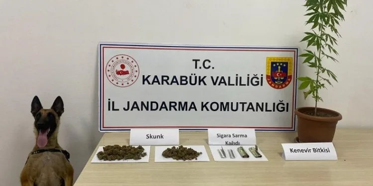 Jandarmadan uyuşturucu operasyonu