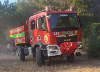 Tavşanlı ilçesinde orman yangını