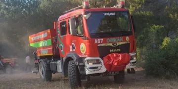 Tavşanlı ilçesinde orman yangını