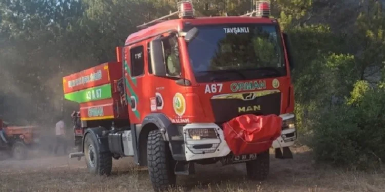 Tavşanlı ilçesinde orman yangını