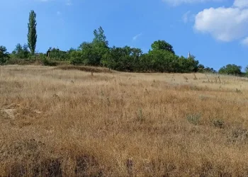 Bursa’da atıl haldeki verimli araziler ekonomiye kazandıracaklar