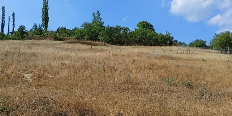 Bursa’da atıl haldeki verimli araziler ekonomiye kazandıracaklar