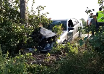 Bursa’da otomobil ağaçlara çarptı: 2 yaralı