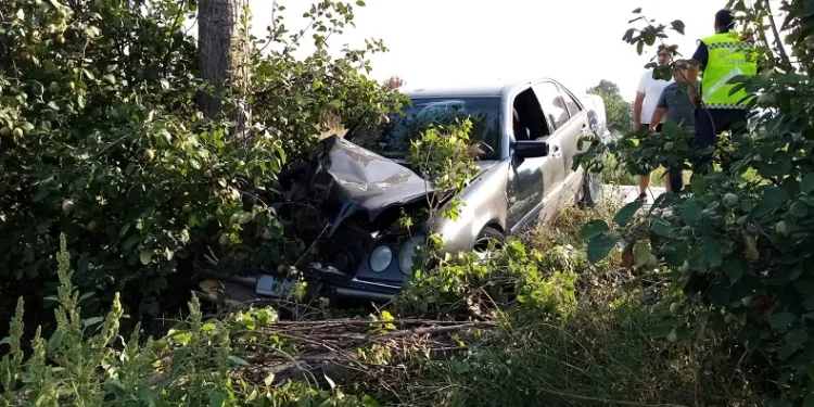 Bursa’da otomobil ağaçlara çarptı: 2 yaralı