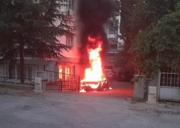 Park halindeki araç alev topuna döndü
