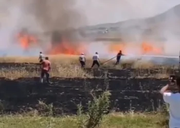 Van’da tarım arazisinde yangın