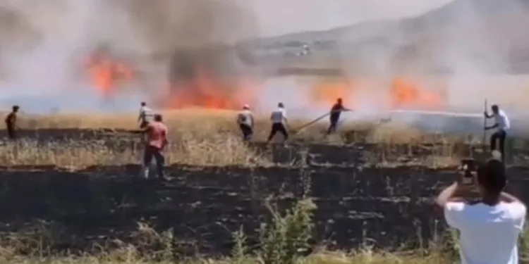 Van’da tarım arazisinde yangın