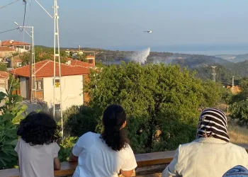 Ayvacık’taki orman yangını kontrol altına alındı