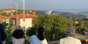 Ayvacık’taki orman yangını kontrol altına alındı