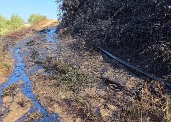 Adıyaman’da petrol boruları patladı