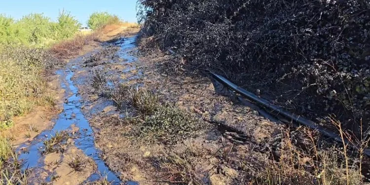Adıyaman’da petrol boruları patladı