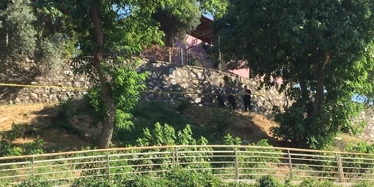 Kafasından vurulmuş olarak bulundu