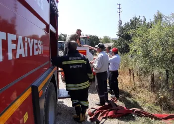 Köyde bulunan su tankeri faciayı önledi