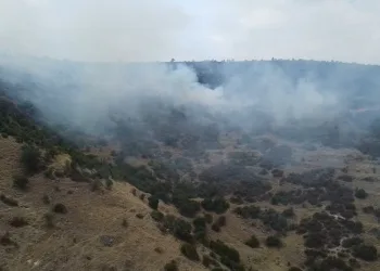 Afyonkarahisar’da ot ve çalıların bulunduğu dağlık alanda yangın çıktı