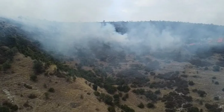 Afyonkarahisar’da ot ve çalıların bulunduğu dağlık alanda yangın çıktı