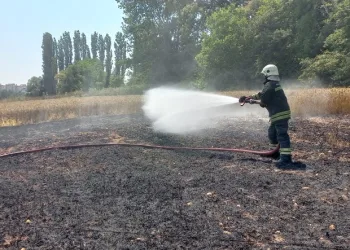 Kopan elektrik kablosu 1 buçuk dönüm buğday tarlasını küle çevirdi