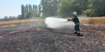Kopan elektrik kablosu 1 buçuk dönüm buğday tarlasını küle çevirdi