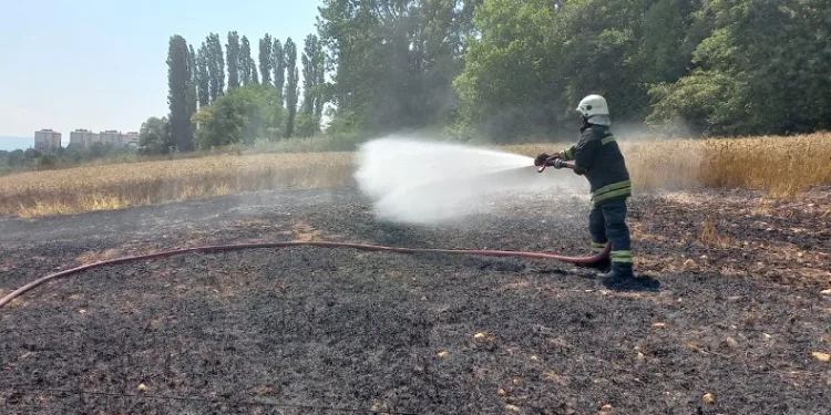Kopan elektrik kablosu 1 buçuk dönüm buğday tarlasını küle çevirdi