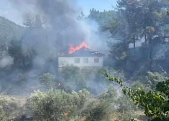 Evde çıkan yangın ormana sıçradı