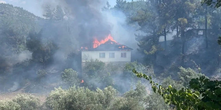 Evde çıkan yangın ormana sıçradı
