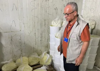 Gaziantep’te 1 ton 112 kilogram kaçak peynir ele geçirildi