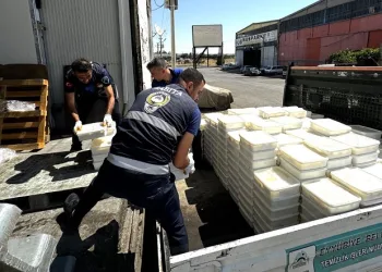 Şanlıurfa’da 8 ton bozuk peynir ve yumurta ele geçirildi
